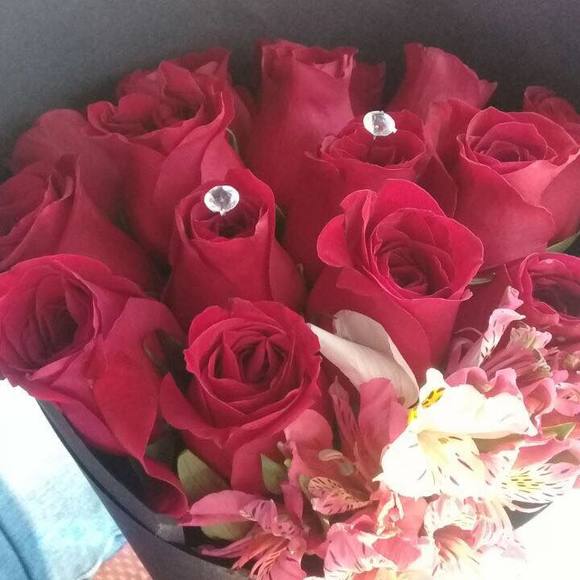 Meet your Posher, Jackeline - Picture 1 of 1